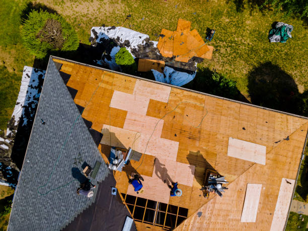 Best Best Roofing Contractors  in Imlay City, MI