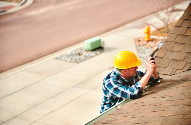 Best Roof Gutter Cleaning  in Imlay City, MI