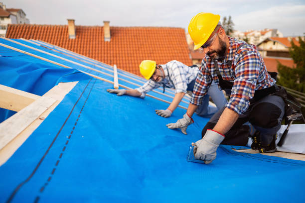 Best Flat Roof Repair Services  in Imlay City, MI