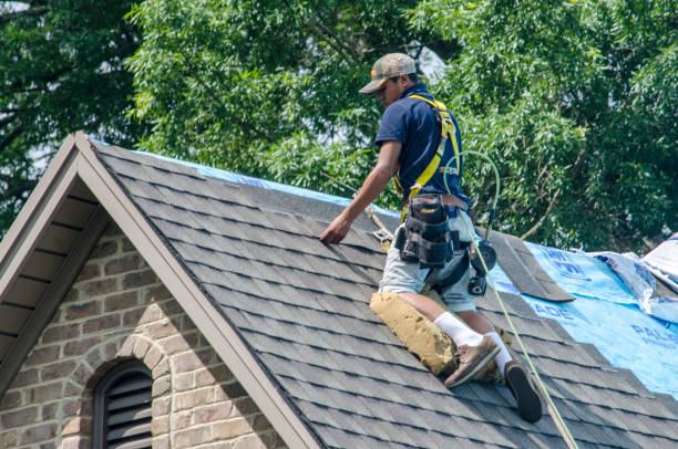 Imlay City, MI Roofing Contractor Company